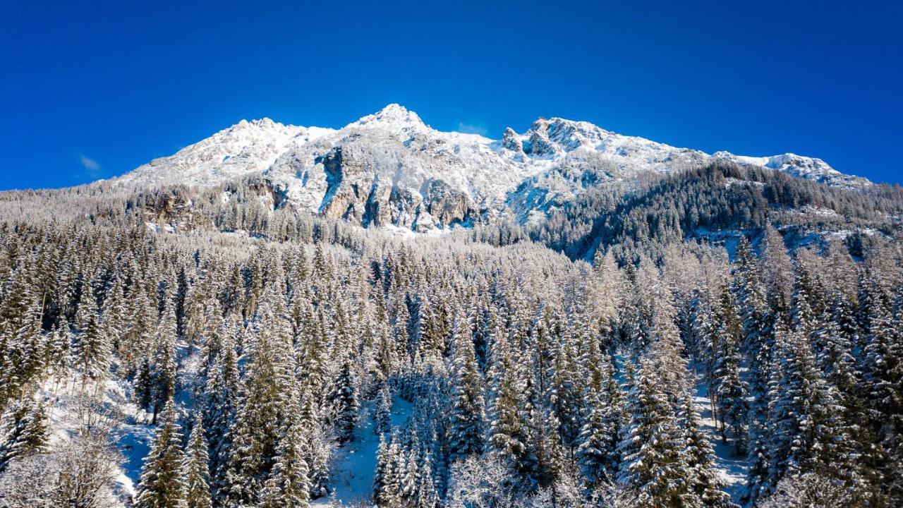 Apartmenthaus Mountainvista Kleinarl Zewnętrze zdjęcie