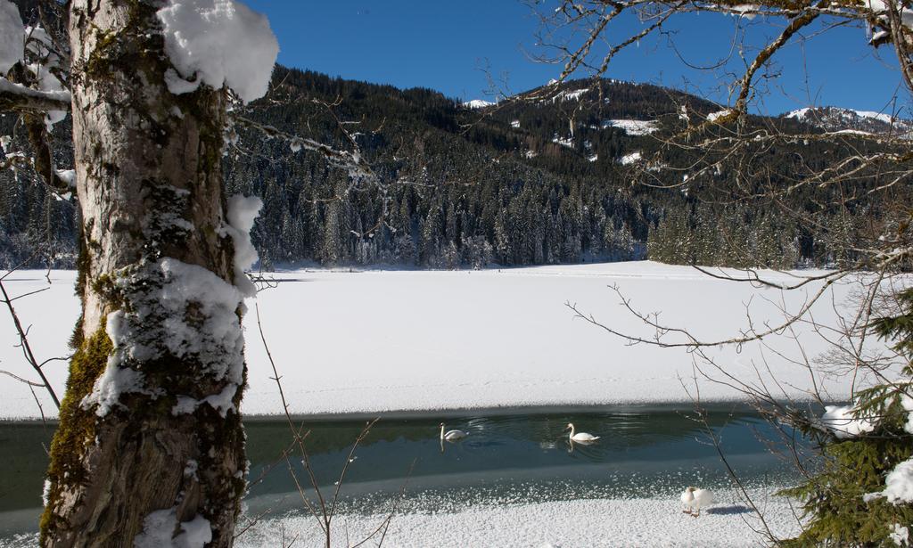 Apartmenthaus Mountainvista Kleinarl Zewnętrze zdjęcie
